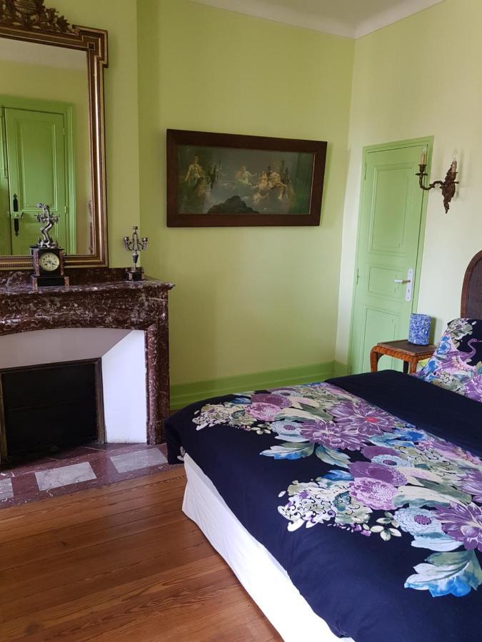 Chez Louise Bed & Breakfast Albi Dış mekan fotoğraf