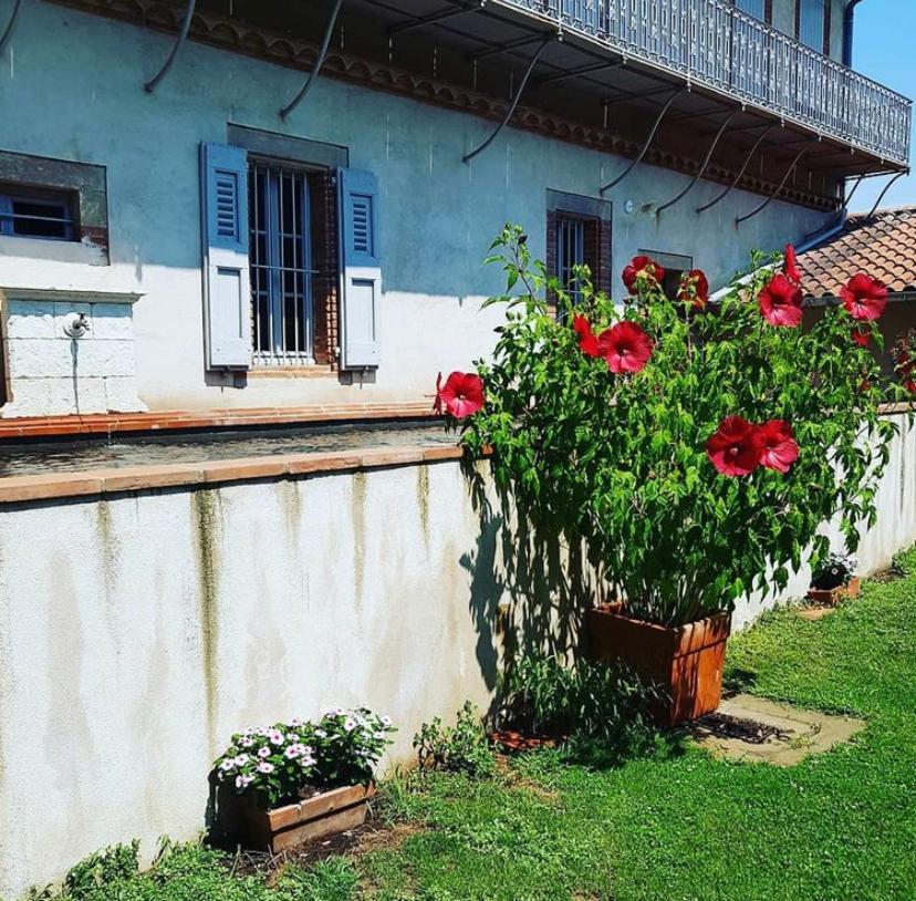 Chez Louise Bed & Breakfast Albi Dış mekan fotoğraf