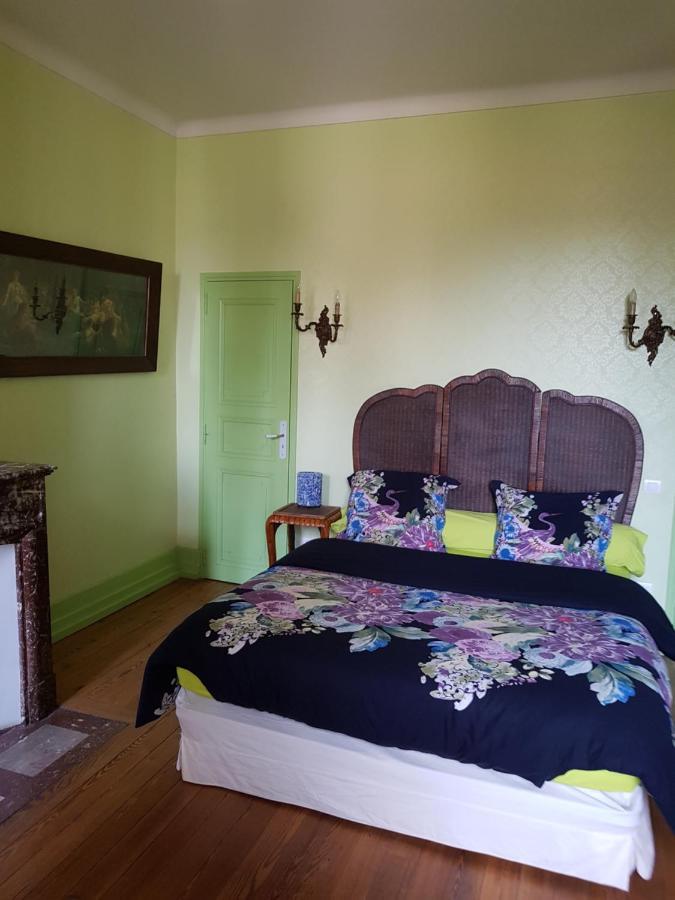 Chez Louise Bed & Breakfast Albi Dış mekan fotoğraf